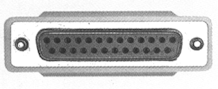 female2502